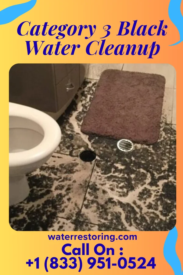 Category 3 Black Water Cleanup in Twin Lakes, WI