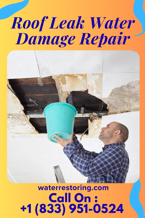 Roof Leak Water Damage Repair in Twin Lakes, WI