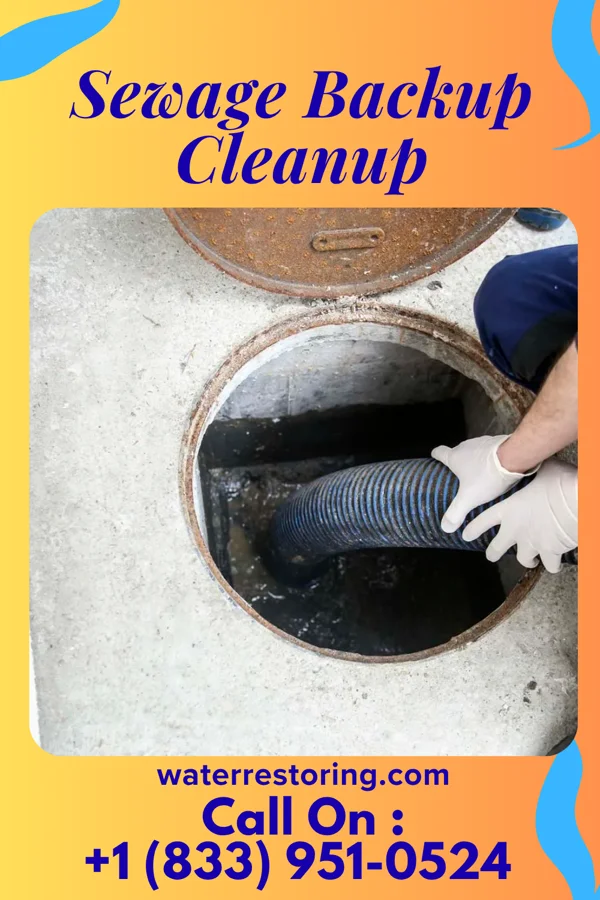 Sewage Backup Cleanup in Twin Lakes, WI