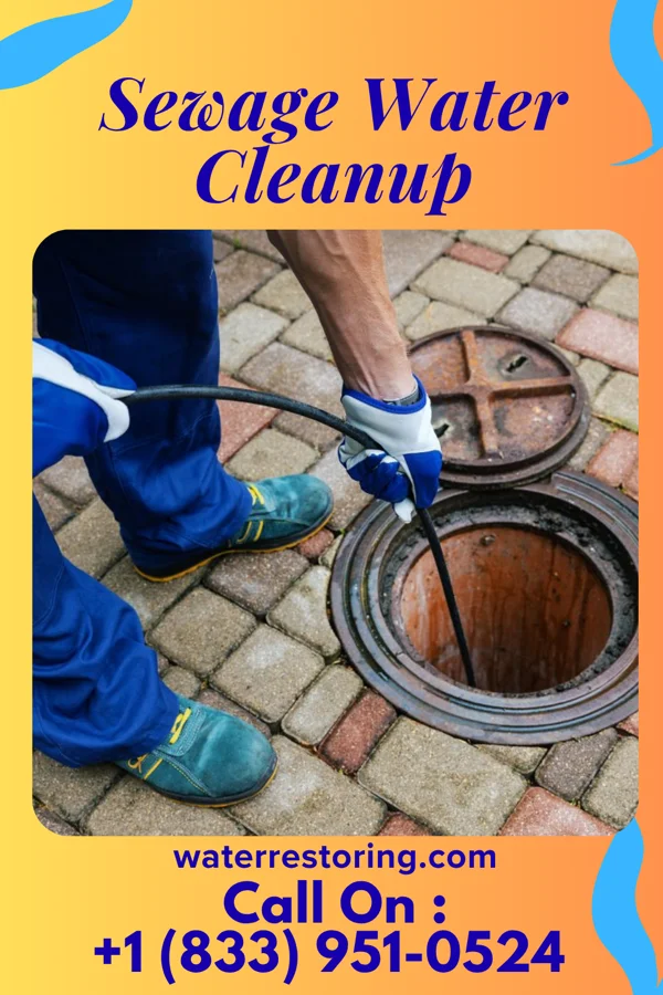 Sewage Water Cleanup in Twin Lakes, WI